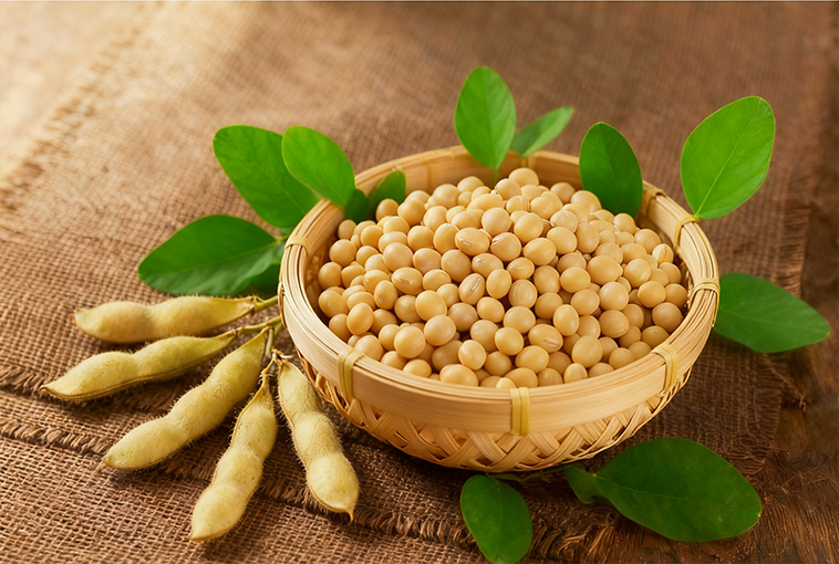 大豆